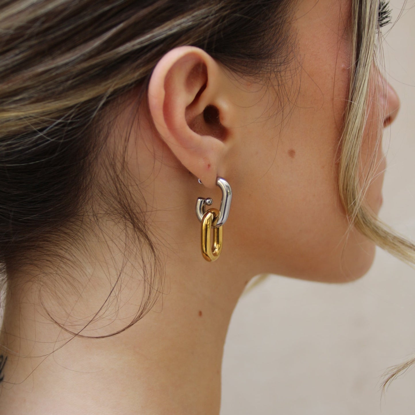 Link Earrings